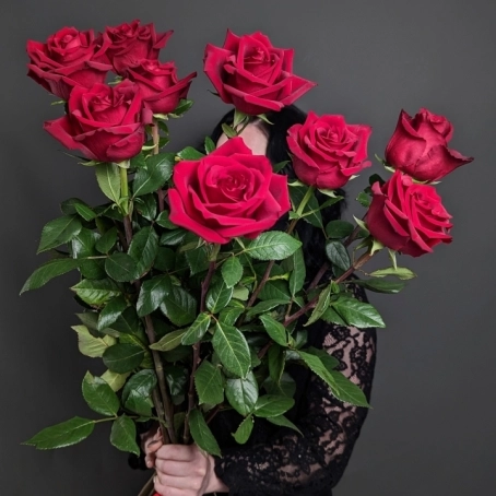 Букет из 9 красных роз под ленту - фото 1